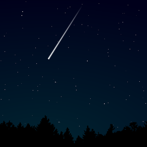 女星露点AV在线看
