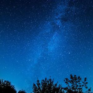 女星露点AV在线看
